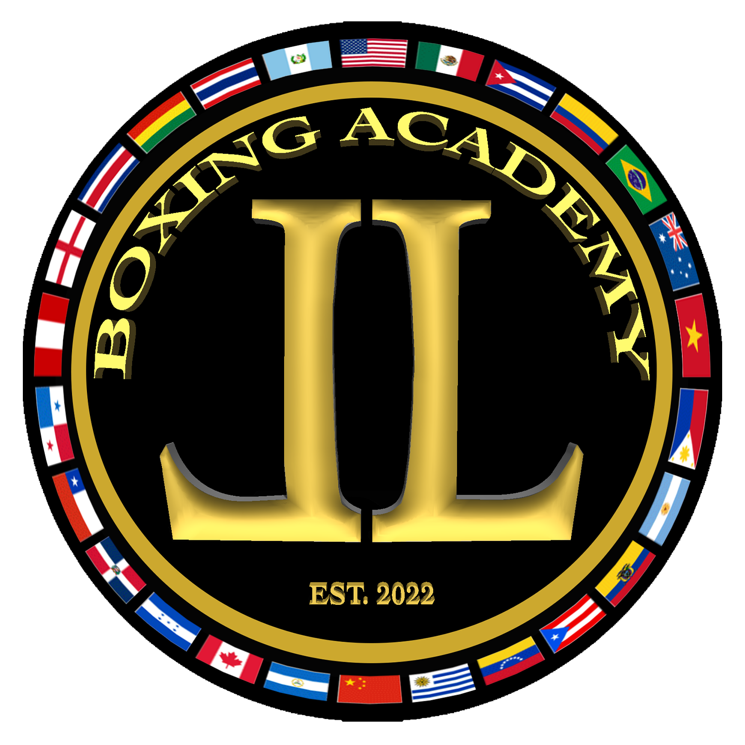 Jl Boxng academy